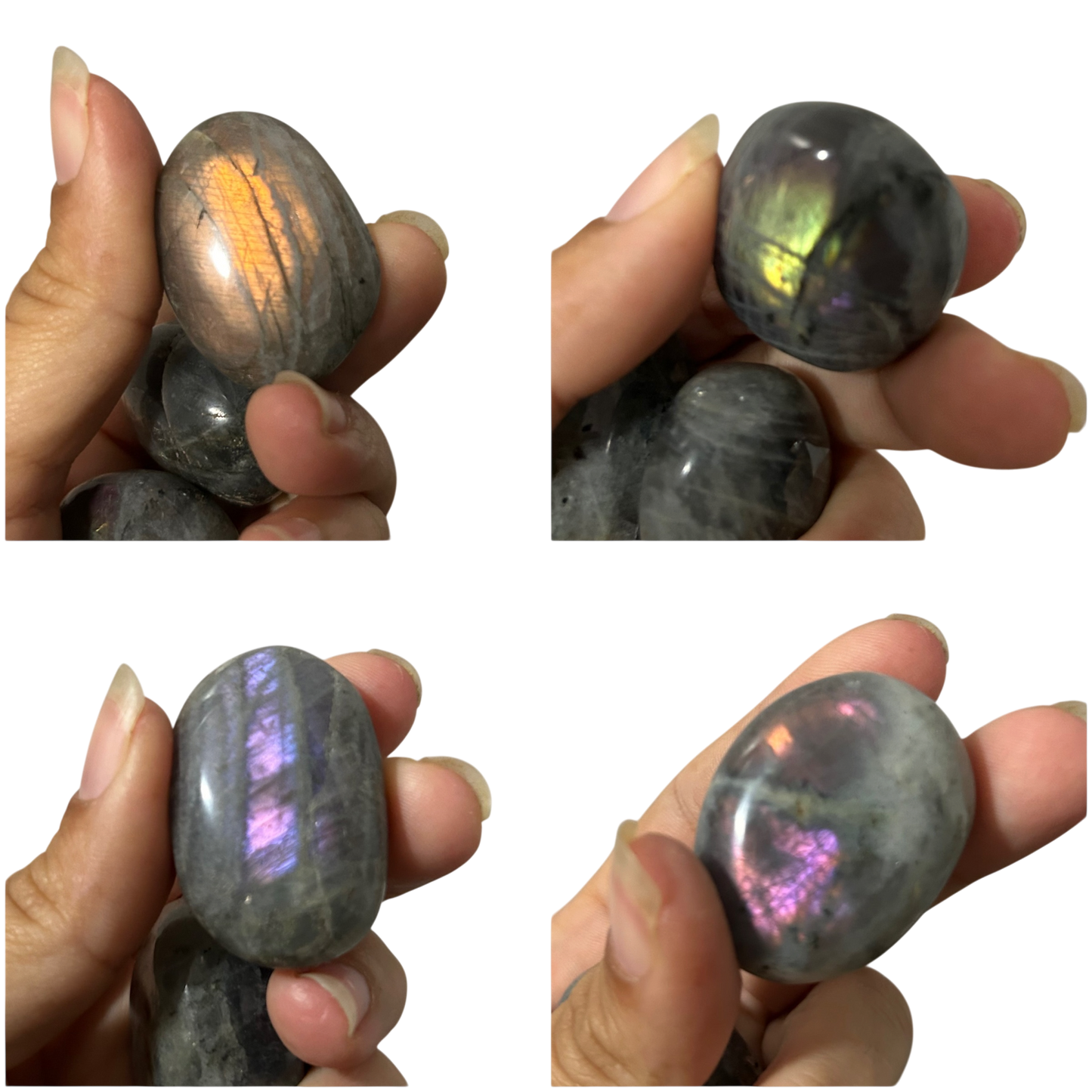 1x Piedra de palma Labradorita