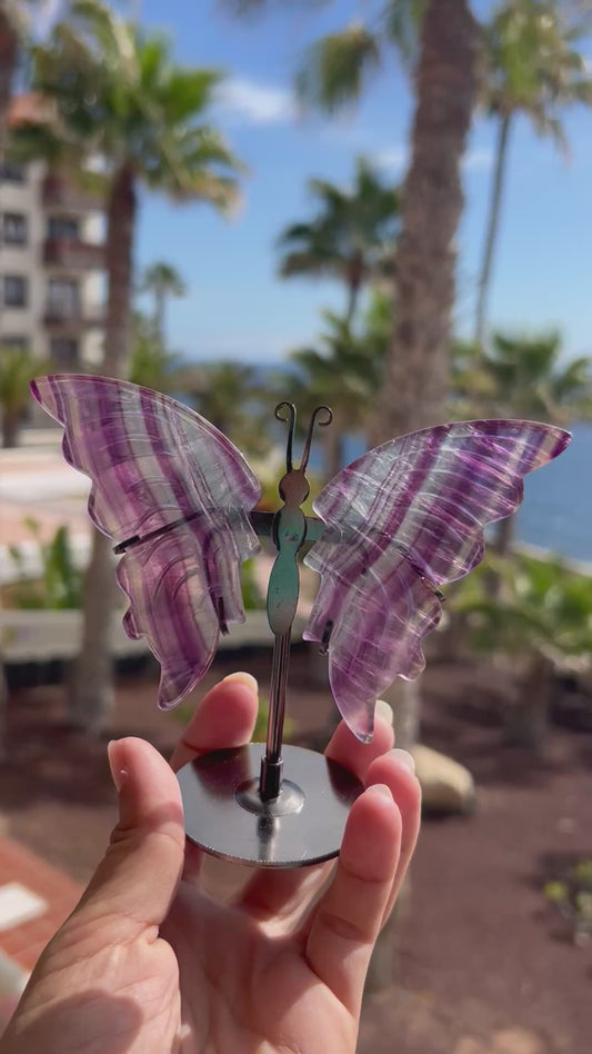 Mariposa Fluorita arcoíris