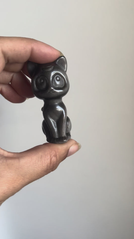 Obsidiana plateada gato